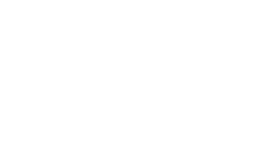 The Anchors